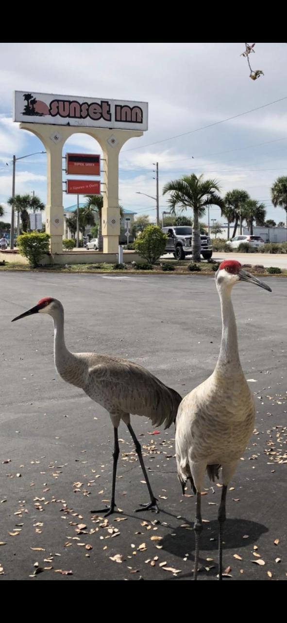 Sunset Inn- Fort Pierce, Fl 외부 사진